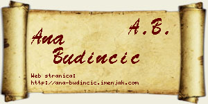 Ana Budinčić vizit kartica